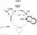 Fig. 04 - Image forming apparatus capable of suppressing image defects caused by paper dust