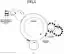 Fig. 05 - Image forming apparatus capable of suppressing image defects caused by paper dust