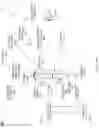 Fig. 60 - Reconstructing objects with display zero order light suppression