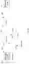 Fig. 14 - Effective correlation of multiple time-series result sets