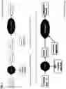 Fig. 05 - Cache conscious techniques for generation of quasi-dense grouping codes of compressed columnar data in relational database systems