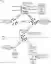Fig. 01 - Mapping of personally-identifiable information to a person based on natural language coreference resolution
