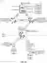 Fig. 02 - Mapping of personally-identifiable information to a person based on natural language coreference resolution