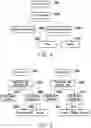 Fig. 04 - Disease classification method and disease classification device
