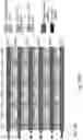 Fig. 167 - 3D semiconductor device and structure