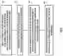 Fig. 07 - Spatio-temporal event weight estimation for network-level and topology-level representations