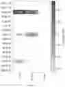 Fig. 22 - Network device classification apparatus and process