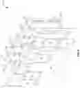 Fig. 09 - Disaggregated fault tolerant backplane