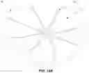 Fig. 22 - FISH ATTRACTING SYSTEMS AND METHODS