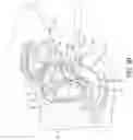 Fig. 07 - Cryoprotective Compositions and Methods for Protection of a Surgical Site During Cryosurgery