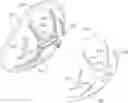 Fig. 01 - Athletic protective breast cup