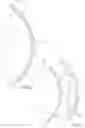 Fig. 04 - Athletic protective breast cup