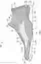 Fig. 02 - Article of footwear