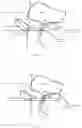 Fig. 07 - Method for measuring parameters in ultrasonic image and ultrasonic imaging system