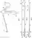 Fig. 02 - Bendable handheld medical actuator