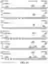 Fig. 22 - POLYMER PROCESS BAGS AND METHODS FOR MANUFACTURING THE SAME