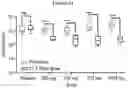 Fig. 33 - ACTIVATING PYRUVATE KINASE R