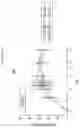 Fig. 40 - ACTIVATING PYRUVATE KINASE R