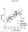 Fig. 45 - ACTIVATING PYRUVATE KINASE R
