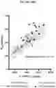 Fig. 53 - ACTIVATING PYRUVATE KINASE R