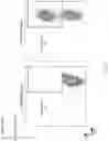 Fig. 08 - A BW6 Specific CAR Designed To Protect Transplanted Tissue From Rejection