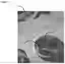 Fig. 06 - DIRECTING LIGHT FOR THERMAL AND POWER APPLICATIONS IN SPACE