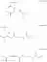Fig. 09 - HIGH-THROUGHPUT METHOD TO RAPIDLY ADD CHEMICAL MOIETIES TO A SMALL MOLECULE LIBRARY