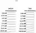 Fig. 04 - USE OF CASEINOLYTIC PROTEASE P FUNCTION AS A BIOMARKER OF DRUG RESPONSE TO IMIPRIDONE-LIKE AGENTS
