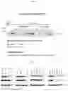 Fig. 07 - USE OF CASEINOLYTIC PROTEASE P FUNCTION AS A BIOMARKER OF DRUG RESPONSE TO IMIPRIDONE-LIKE AGENTS