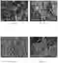 Fig. 03 - Solid-State Synthesis Of Precursors Of Metal-Organic Frameworks