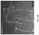 Fig. 167 - Compositions, formulations and interleukin production and purification