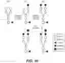 Fig. 34 - Manufacturing Methods To Control C-Terminal Lysine, Galactose And Sialic Acid Content In Recombinant Proteins