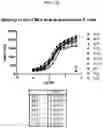 Fig. 45 - Antibodies against TIM3 and uses thereof