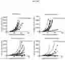 Fig. 76 - Antibodies against TIM3 and uses thereof