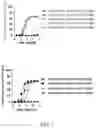 Fig. 02 - IMMUNE TARGETING MOLECULES AND USES THEREOF