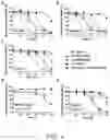 Fig. 07 - COMPOSITIONS AND METHODS FOR MODULATING CELLULAR INTERNALIZATION