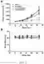 Fig. 08 - COMPOSITIONS AND METHODS FOR MODULATING CELLULAR INTERNALIZATION