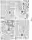 Fig. 12 - ANTI-CD137L ANTIBODIES AND METHODS OF USING SAME