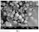 Fig. 02 - Fluorescent Particles, Inspection Device Using Fluorescent Particles For Visualizing and Inspecting Motion/Movement Of Fluid In Locations Where Fluid Is Present, And Inspection Method Using Fluorescent Particles For Visualizing and Inspecting Motion/Movement Of Fluid In Locations Where Fluid Is Present