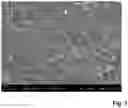 Fig. 02 - Lithium-based grease and preparation method thereof
