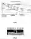 Fig. 02 - Bio-based Surfactants