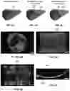 Fig. 09 - DEVICES FOR SIMULATING A FUNCTION OF A TISSUE AND METHODS OF USE AND MANUFACTURING THEREOF