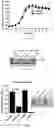 Fig. 03 - LIVE-ATTENUATED LISTERIA MONOCYTOGENES AND METHODS FOR USING THE SAME