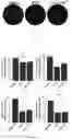 Fig. 04 - LIVE-ATTENUATED LISTERIA MONOCYTOGENES AND METHODS FOR USING THE SAME