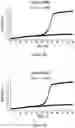 Fig. 08 - SULFITE TOLERANCE IN RECOMBINANT YEAST HOST CELLS