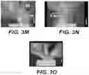 Fig. 09 - COMPOSITIONS AND METHODS FOR ALTERING FLOWERING AND PLANT ARCHITECTURE TO IMPROVE YIELD POTENTIAL