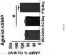 Fig. 35 - HUMANIZED VIPR2 COPY NUMBER VARIANT TRANSGENIC MOUSE MODEL FOR ANTIPSYCHOTIC DRUG AND GENE THERAPY DISCOVERY FOR SCHIZOPHRENIA