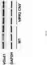 Fig. 43 - HUMANIZED VIPR2 COPY NUMBER VARIANT TRANSGENIC MOUSE MODEL FOR ANTIPSYCHOTIC DRUG AND GENE THERAPY DISCOVERY FOR SCHIZOPHRENIA