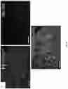 Fig. 45 - HUMANIZED VIPR2 COPY NUMBER VARIANT TRANSGENIC MOUSE MODEL FOR ANTIPSYCHOTIC DRUG AND GENE THERAPY DISCOVERY FOR SCHIZOPHRENIA