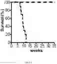 Fig. 02 - METHODS AND PHARMACEUTICAL COMPOSITIONS FOR THE TREATMENT AND THE PREVENTION OF CARDIOMYOPATHY DUE TO ENERGY FAILURE